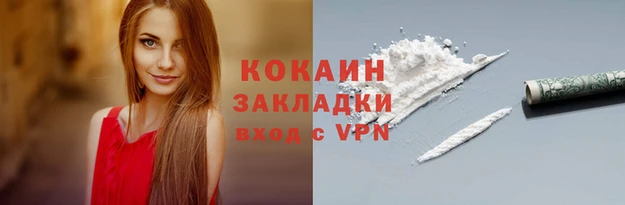 соль ск Алексин