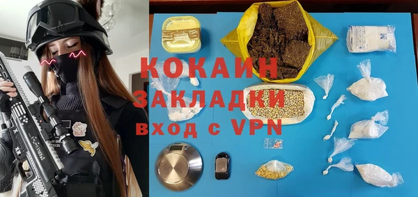 соль ск Алексин