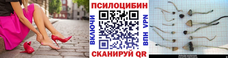 Псилоцибиновые грибы мухоморы  где купить наркоту  Питкяранта 